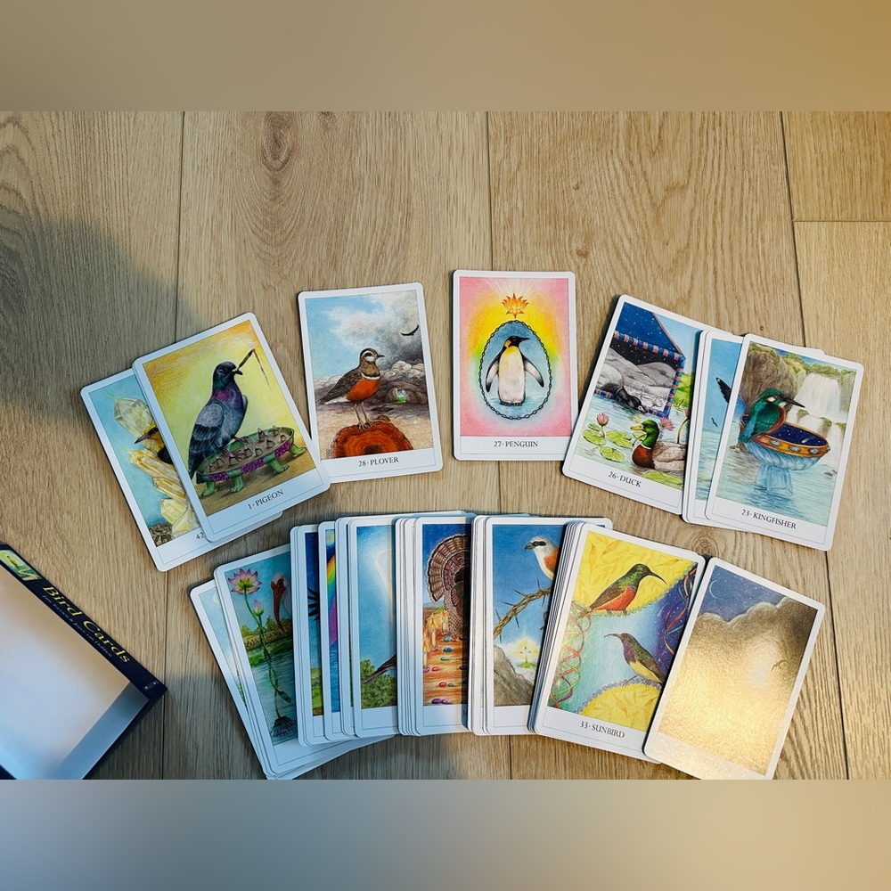 RARE BIRD CARDS The Healing Power of the Bird Kingdom DOBBEN TOERIEN OUT ofPRINT - Picture 3 of 6